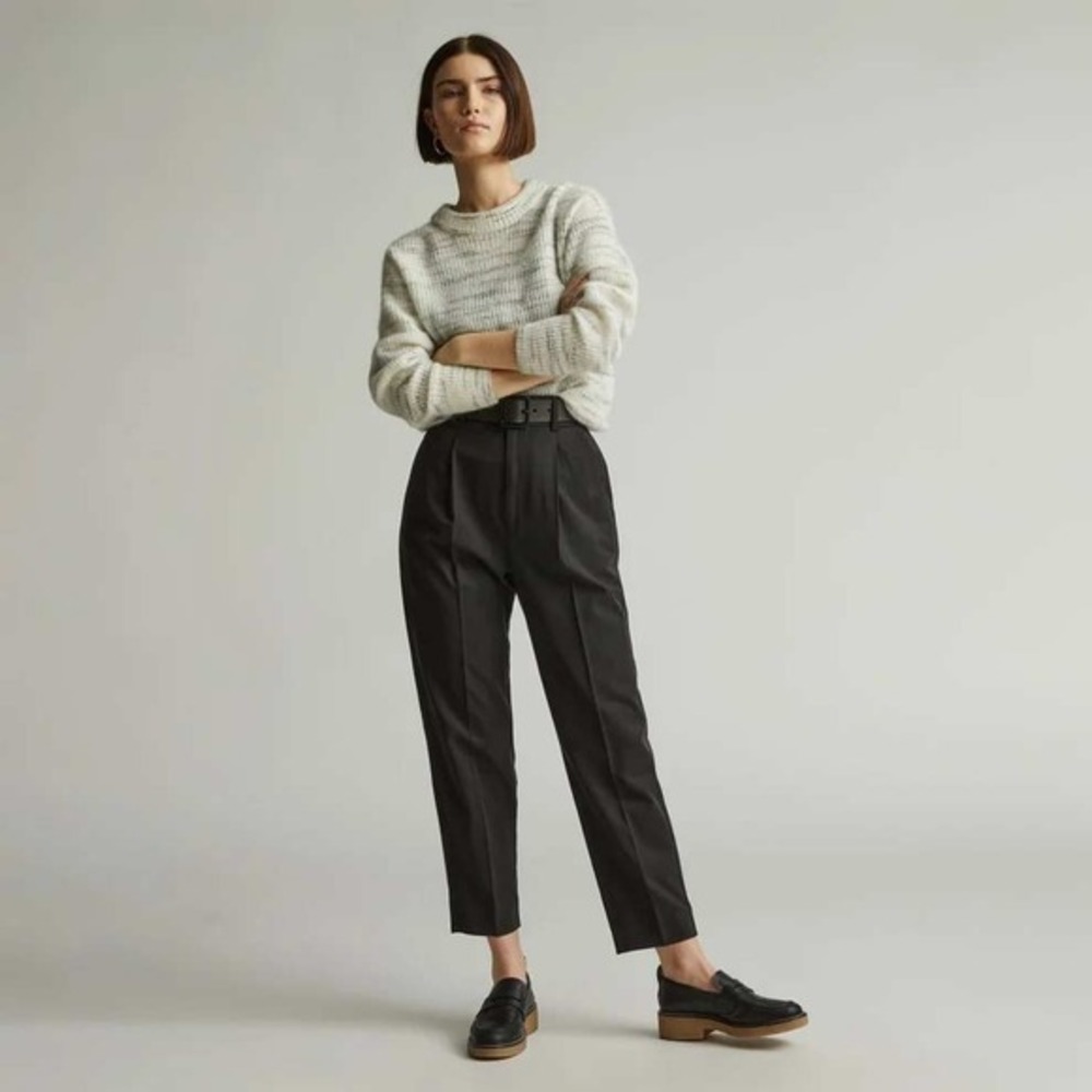 Everlane The Tencel Way High Taper Pant Women 6 Black Pleated Sustainable